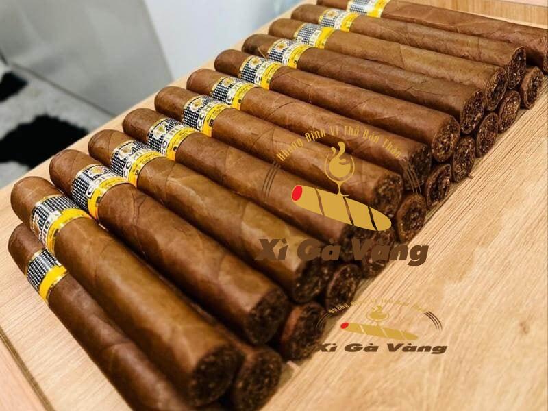 Điếu xì gà Siglo 6 thẩm mỹ và sang trọng